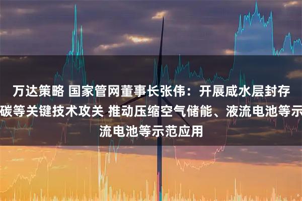万达策略 国家管网董事长张伟：开展咸水层封存二氧化碳等关键技术攻关 推动压缩空气储能、液流电池等示范应用